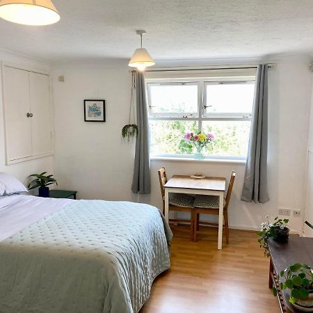 Bright And Comfortable Studio Apartment Лондон Екстериор снимка